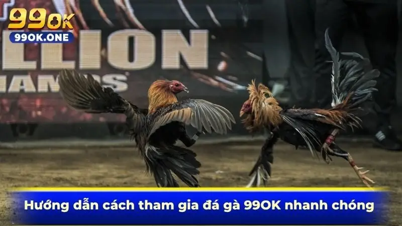 Hướng dẫn cách tham gia đá gà 99OK nhanh chóng