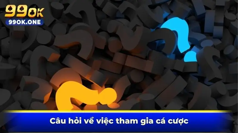 Câu hỏi về việc tham gia cá cược